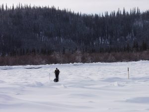 Participant à la Yukon Arctic Ultra