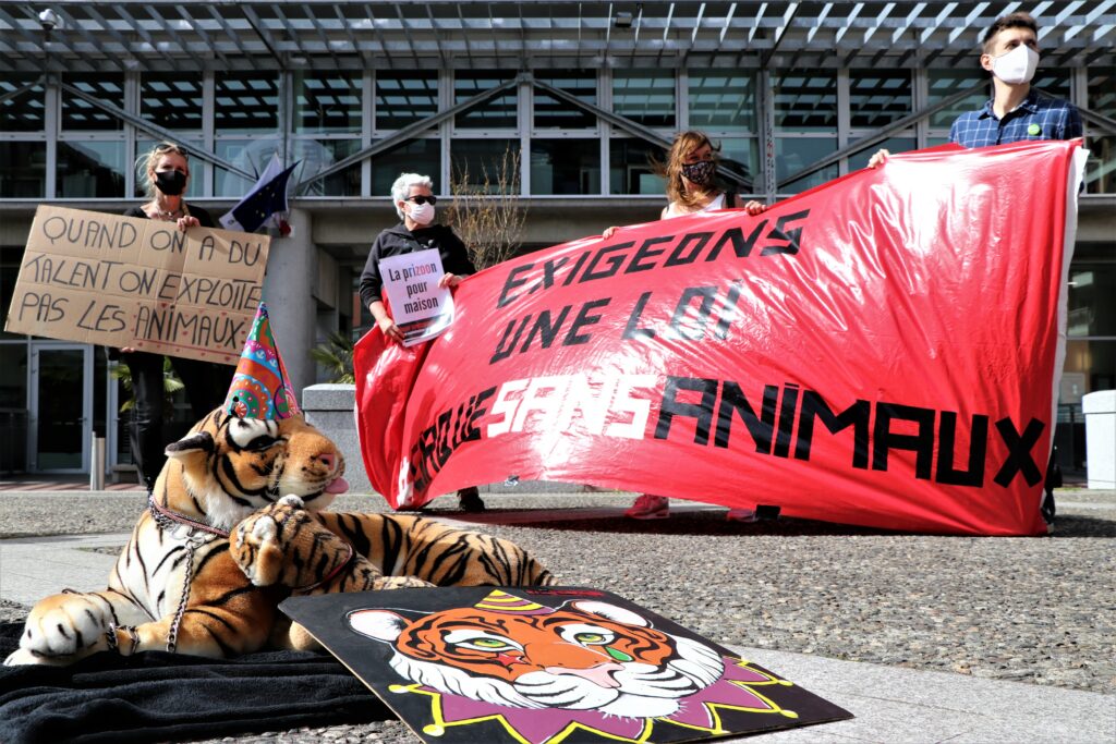 Rassemblement pour des cirques sans animaux