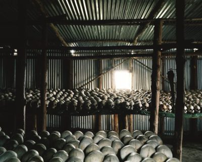 A room of the Bisesero genocide memorial site from Rwanda. Human skulls are arranged on shelves, symbol of dark tourism. A place filled with memory.