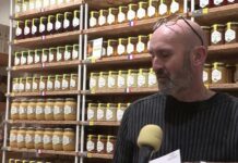 Cette semaine, L’API Week revient.